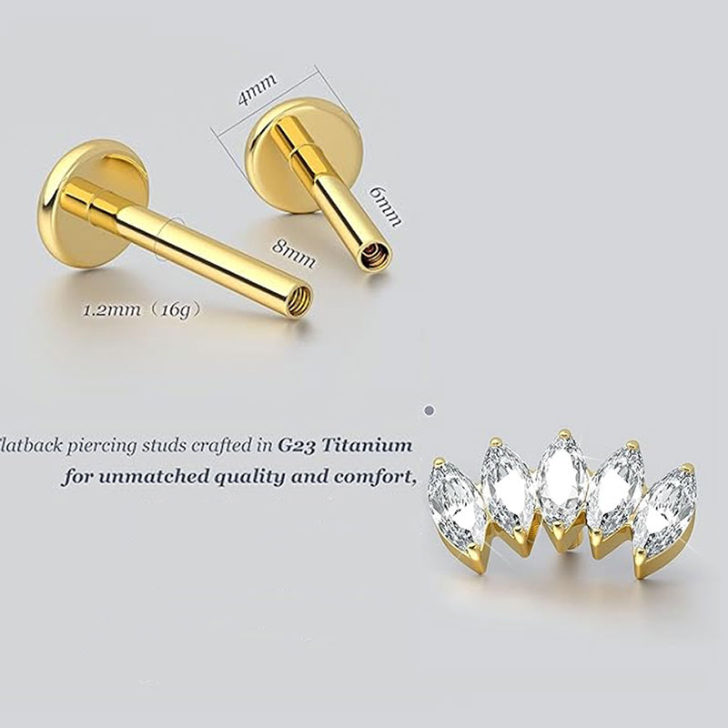 2pcs F136 G23 Titanium Cartila - مراجعة Body Jewelry Threadless وسعره