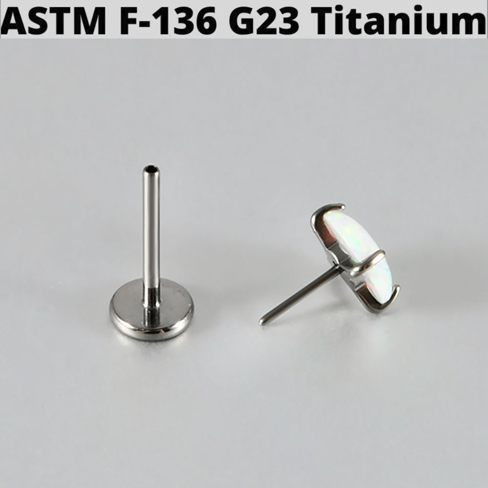 1PC G23 Titanium Gloss Round O - مراجعة Body Jewelry Threadless وسعره