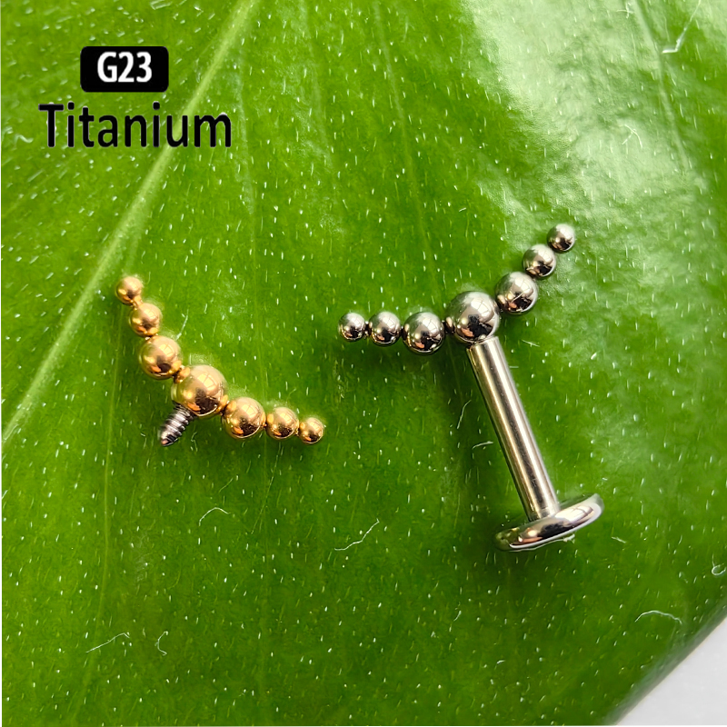 G23 Titanium Piercing 7pcs Bal - مراجعة Cluster Stud Ear وسعره