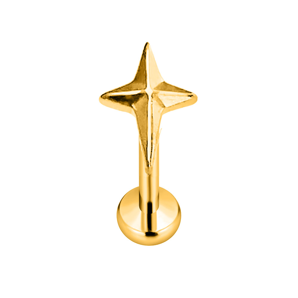 ASTM F136 G23 Titanium Star Cr - مراجعة Body Jewelry Threadless وسعره