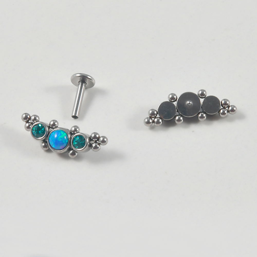 4PCS 316L Surgical Steel 16G   - مراجعة Cluster Stud Ear وسعره