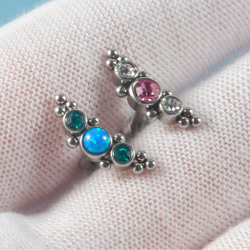 4PCS 316L Surgical Steel 16G   - مراجعة Cluster Stud Ear وسعره