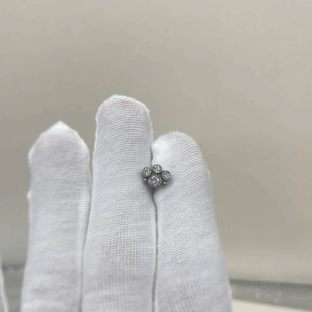G23 Titanium CZ Zircon Cluster - مراجعة Cluster Stud Ear وسعره