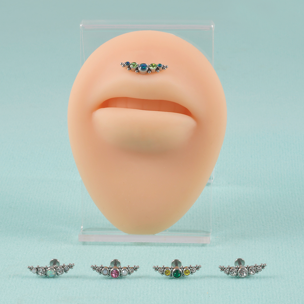1PC 316L Surgical Steel 16G  C - مراجعة Cluster Stud Ear وسعره