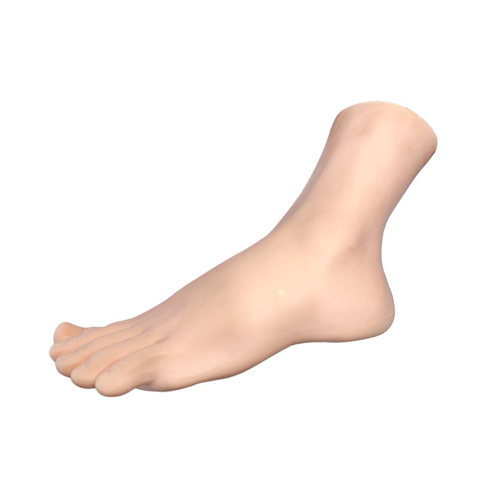 PVC Soft Rubber Female Foot Ma - مراجعة Body Jewelry Stores وسعره